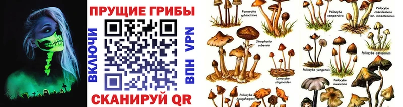 Галлюциногенные грибы GOLDEN TEACHER  Купить закладки  Верхнеуральск 